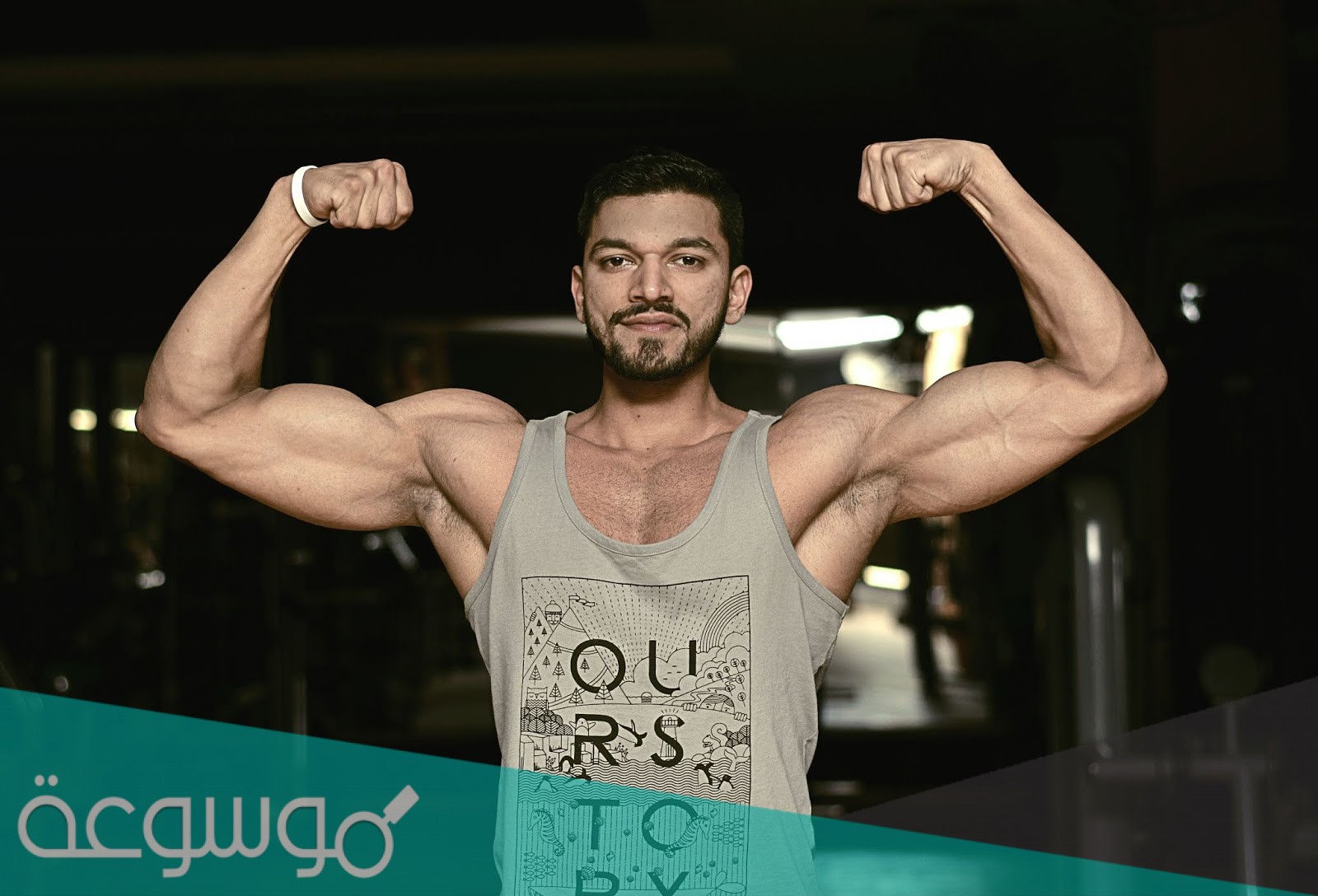 أين توجد العضلات الهيكلية