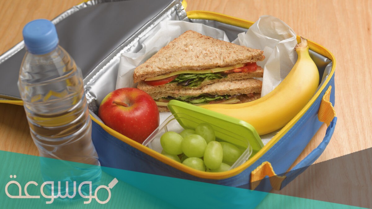 اقتراحات وجبات اطفال الروضة