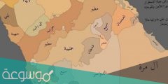 اكبر قبيلة في الجنوب بالسعودية