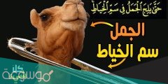 حتى يلج الجمل في سم الخياط ما المقصود بالجمل