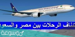 حقيقة فتح الطيران بين مصر والسعودية