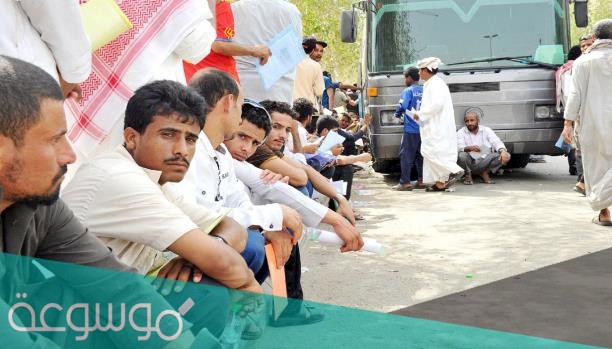 حقيقه ترحيل اليمنيين من الشرقيه