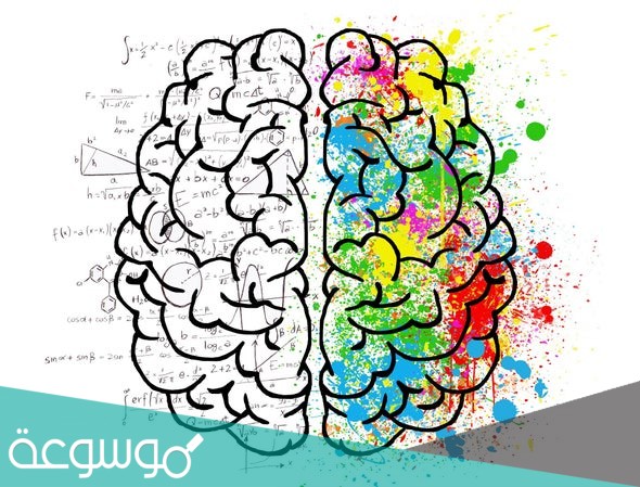 حل كتاب الرياضيات للصف السادس