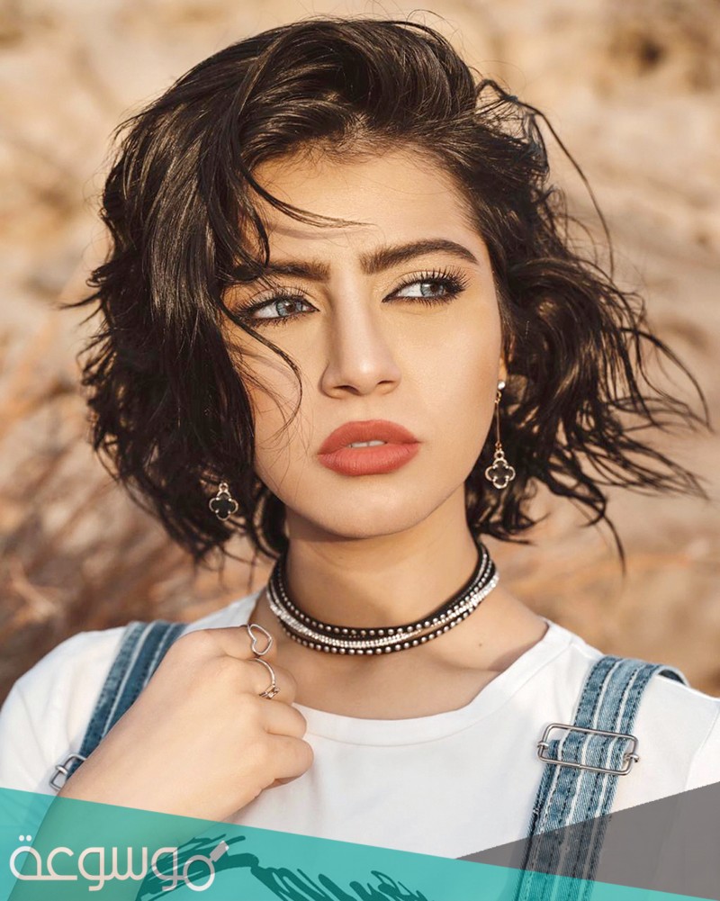 حياة نرمين محسن الفنية