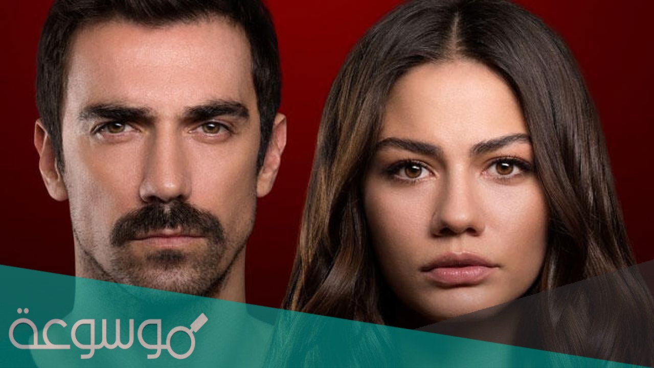 قصة مسلسل منزلي الحقيقية