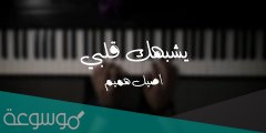 كلمات اغنية يشبهك قلبي كنك لقلبي مخلوق