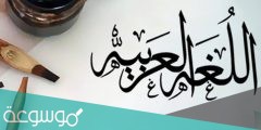 لماذا ندرس اللغة العربية ؟