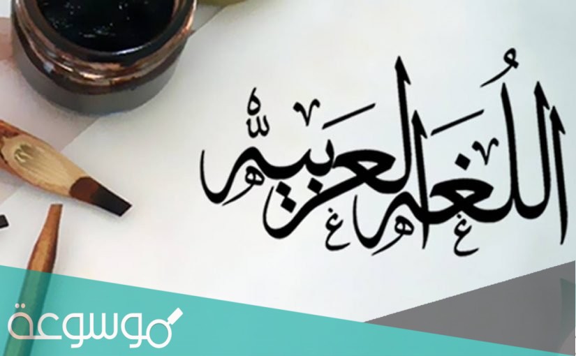 لماذا ندرس اللغة العربية ؟