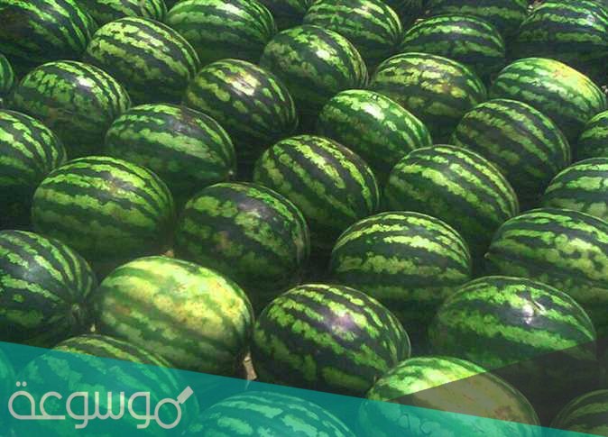 ما اسم البطيخ في الصومال