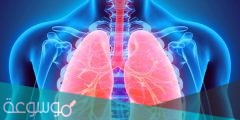 ما الجزء المسؤول عن تبادل الغازات داخل الرئتين