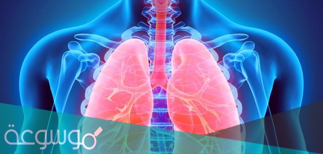 ما الجزء المسؤول عن تبادل الغازات داخل الرئتين
