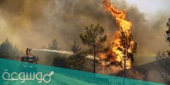 ما سبب حرائق الجزائر 2022