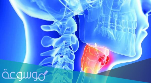 ما هو اكبر غضاريف الحنجرة