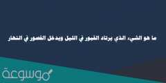 ما هو الشيء الذي يرتاد القبور في الليل ويدخل القصور في النهار