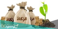 ما هو نصاب الزكاة في الجزائر 2022