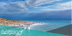 ماذا تسمى شده الملوحه في اللغه العربيه