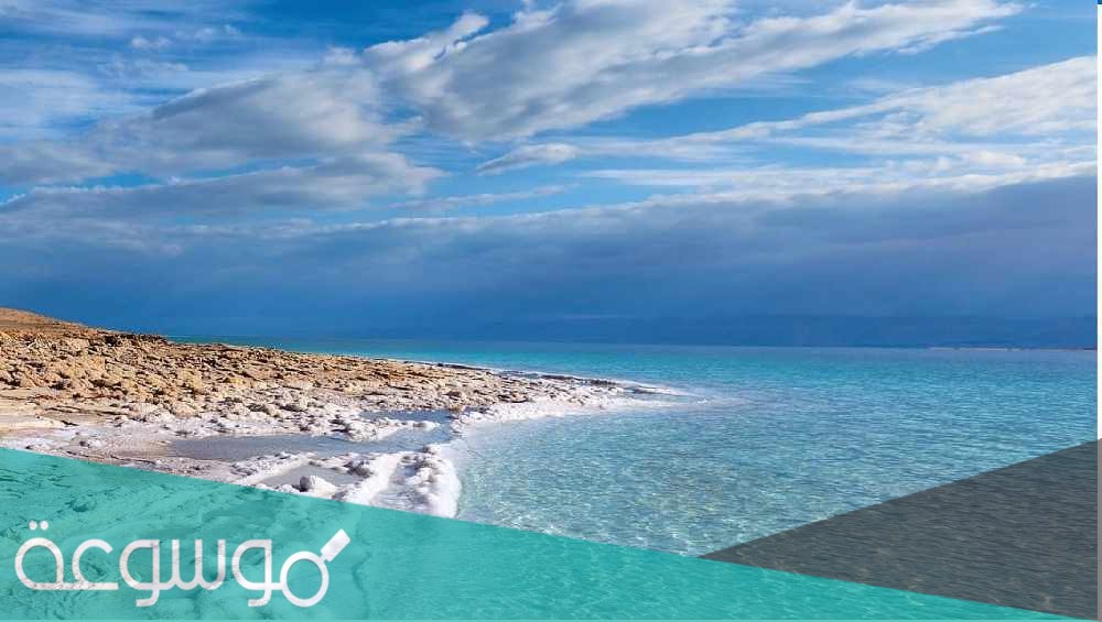 ماذا تسمى شده الملوحه في اللغه العربيه