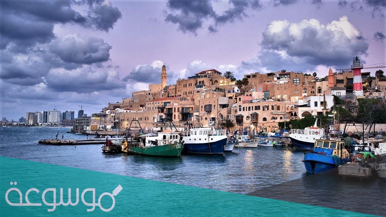 من اطلق على يافا هذا الاسم