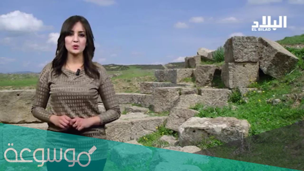 من هو زوج أمينة صحراوي