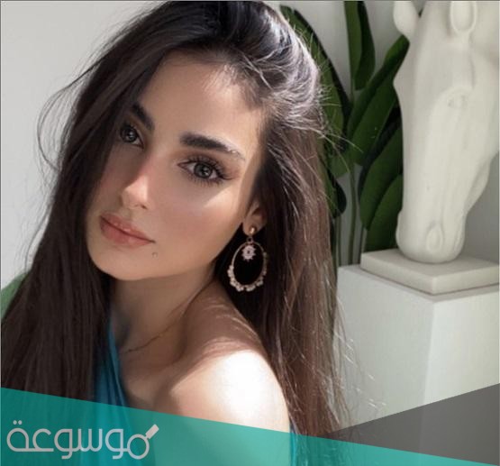 من هو زوج زينب العلوان السيرة الذاتية