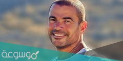 من هو زوج نور عمرو دياب ويكيبيديا