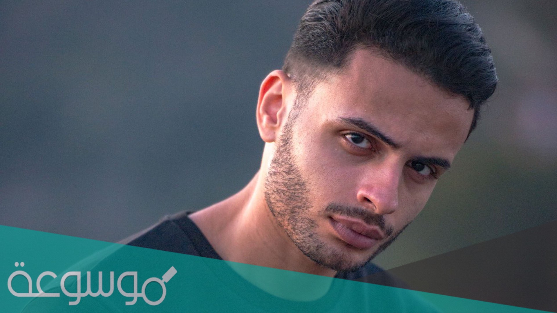 من هو شادي سرور ويكيبيديا