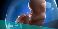 هل الجنين محمي في بطن أمه ؟