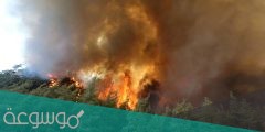 هل تم السيطرة على حرائق تركيا ٢٠٢١