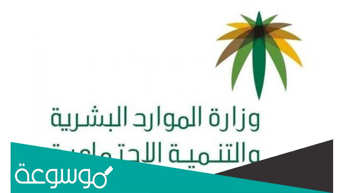 وزارة الموارد البشرية تعتزم توطين 20 ألف وظيفة ” أخصائي تسويق”