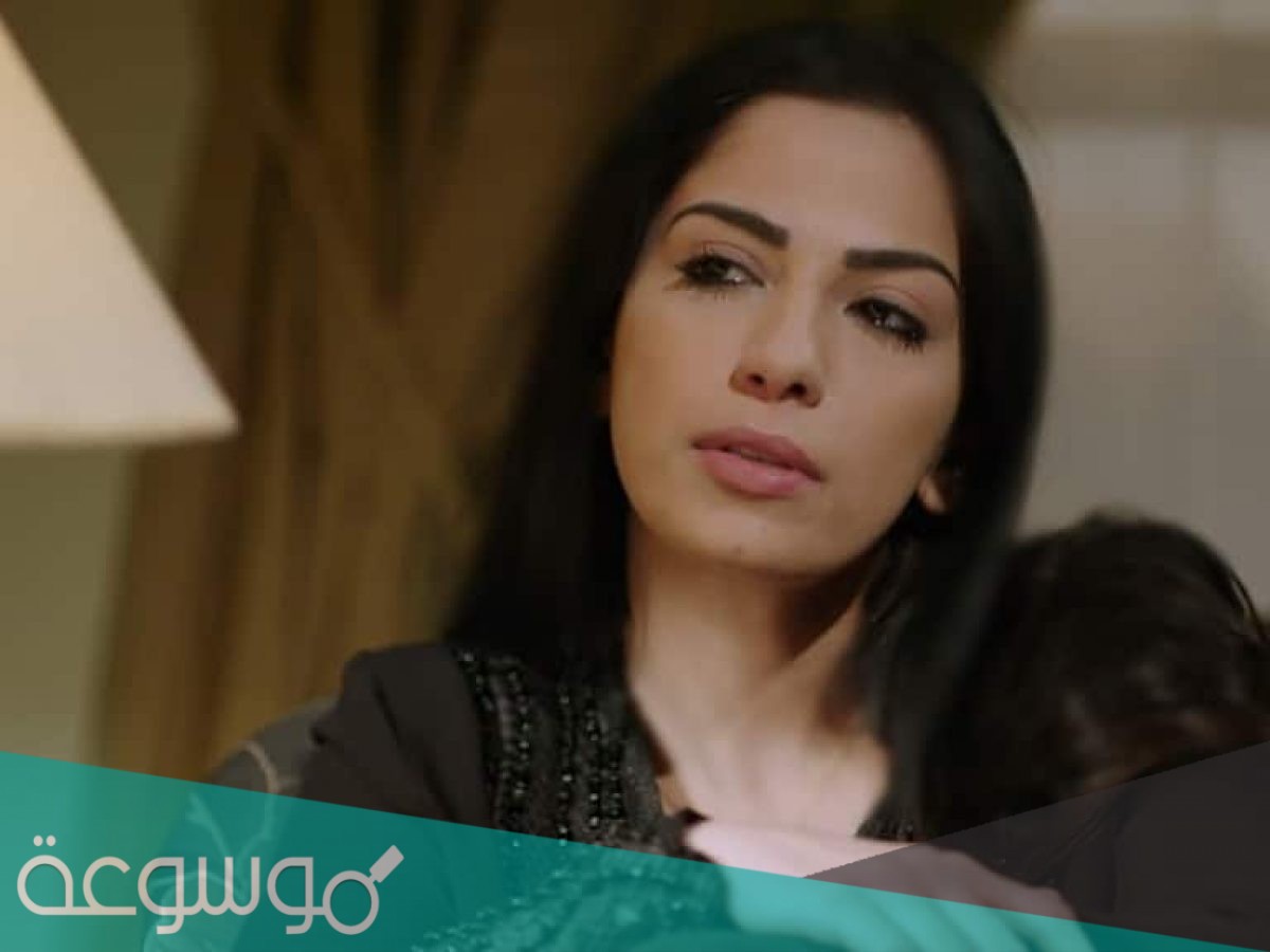 من هي الفنانة أميرة هاني ويكيبيديا