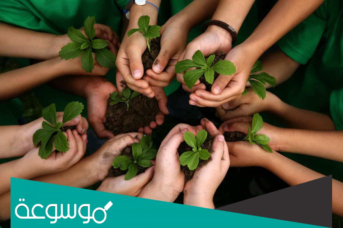 10 أفكار للمحافظة على بيئة وطني