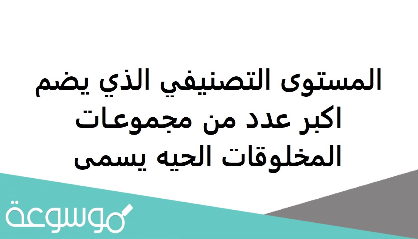 المستوى التصنيفي الذي يصف أكبر عدد من