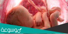 حركة الجنين في الشهر السادس