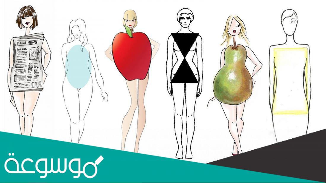 دراسة : شكل الجسم يكشف المزيد عن صحة الجسم