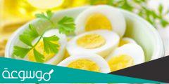هل يمكن أن يسبب البيض ارتفاع درجة حرارة الجسم