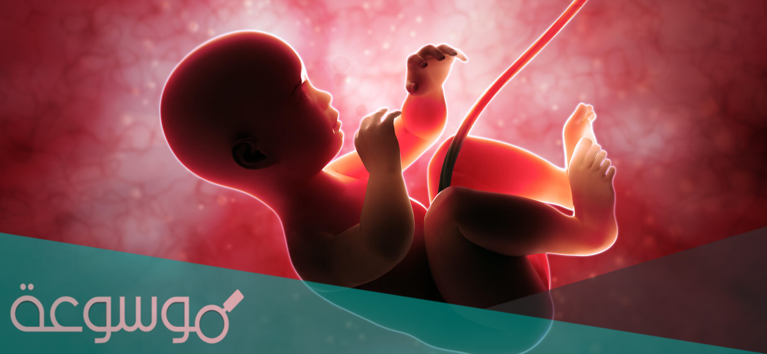 أثر الضغوط النفسية في فترة الحمل على الجنين