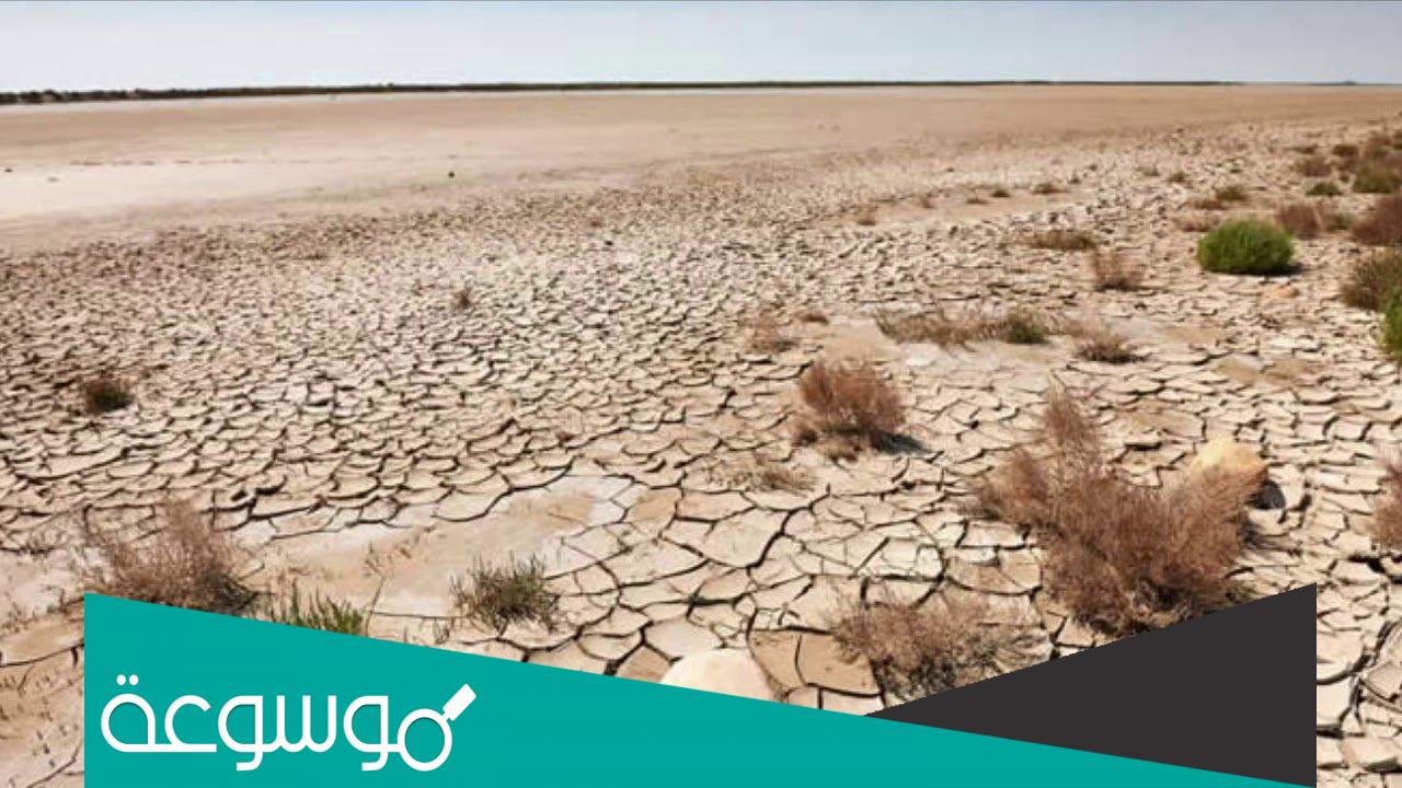 أسباب ظاهرة التصحر وحلولها