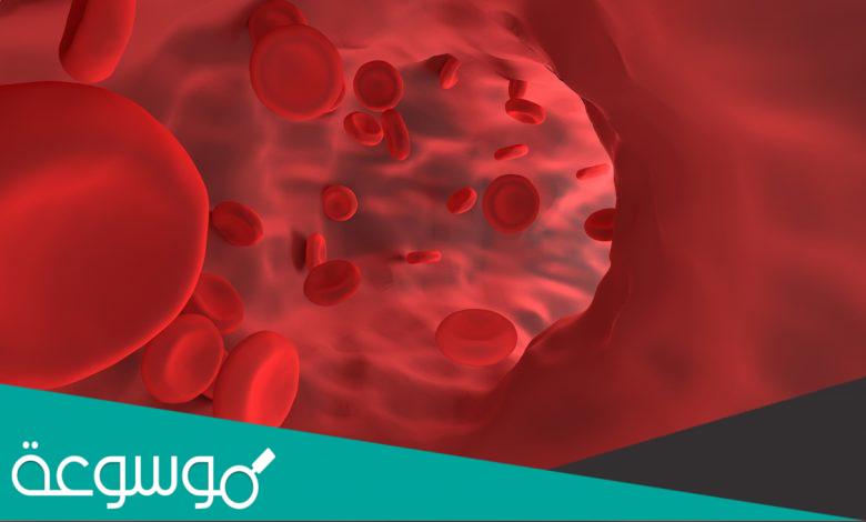 أسباب وأعراض الألفا ثلاسيميا لدى الأطفال وطرق علاجه