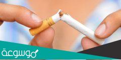 أطعمة يجب تناولها بمجرد الإقلاع عن التدخين