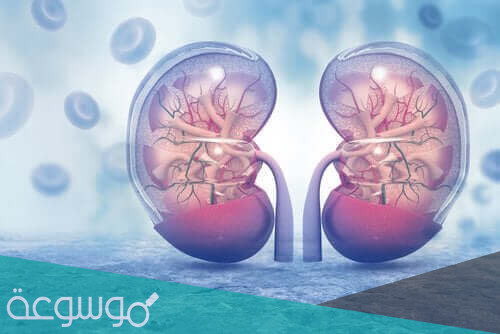 أعراض نقص هرمون فازوبرسين