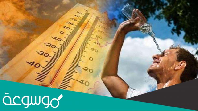 أغرب الطرق لمكافحة موجة الحر الشديدة