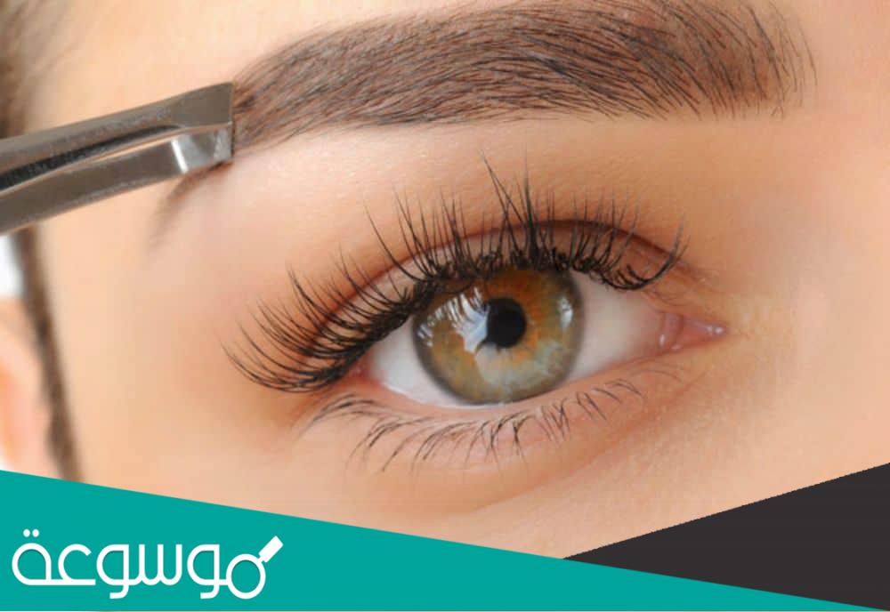 أفضل الزيوت الطبيعية للحصول على حواجب كثيفة