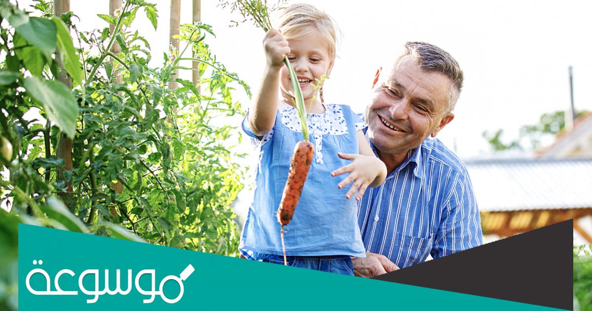 أفضل كتب للمبتدئين في مجال الزراعة المنزلية