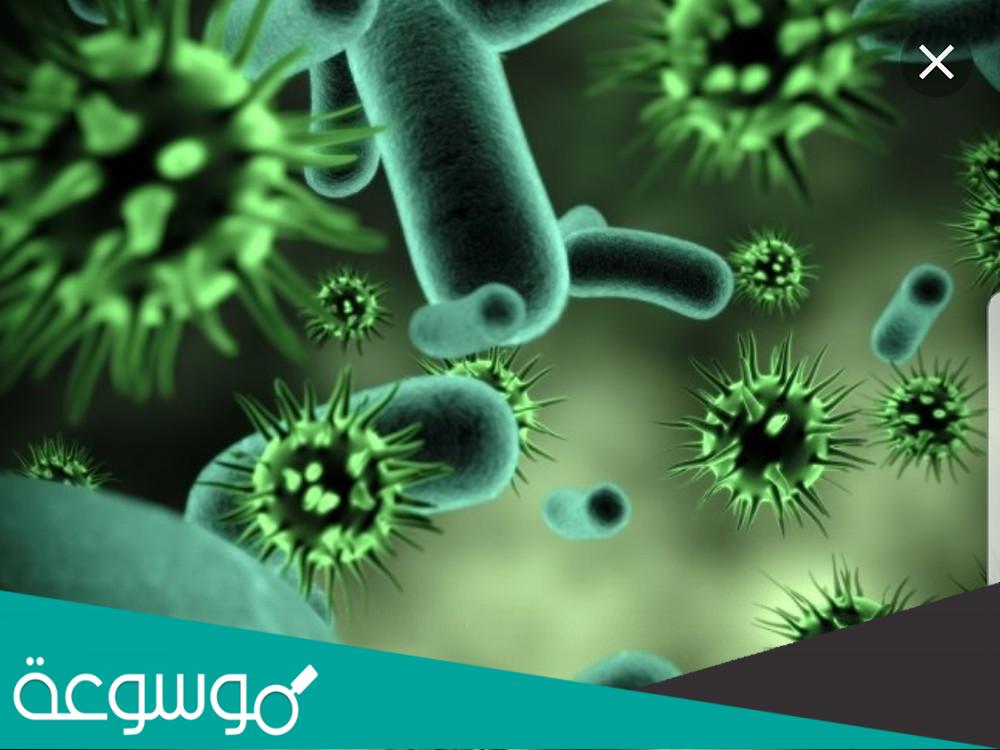 أكثر أنواع الفيروسات خطورة على الإنسان