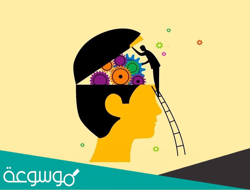أنواع الاستدلال وأمثلة عليها وقواعد إستخدامها