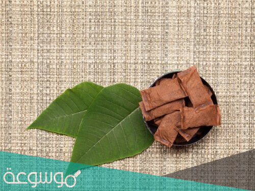 أنواع التبغ الذي لا يُدَخَّن وأثره على الصحة