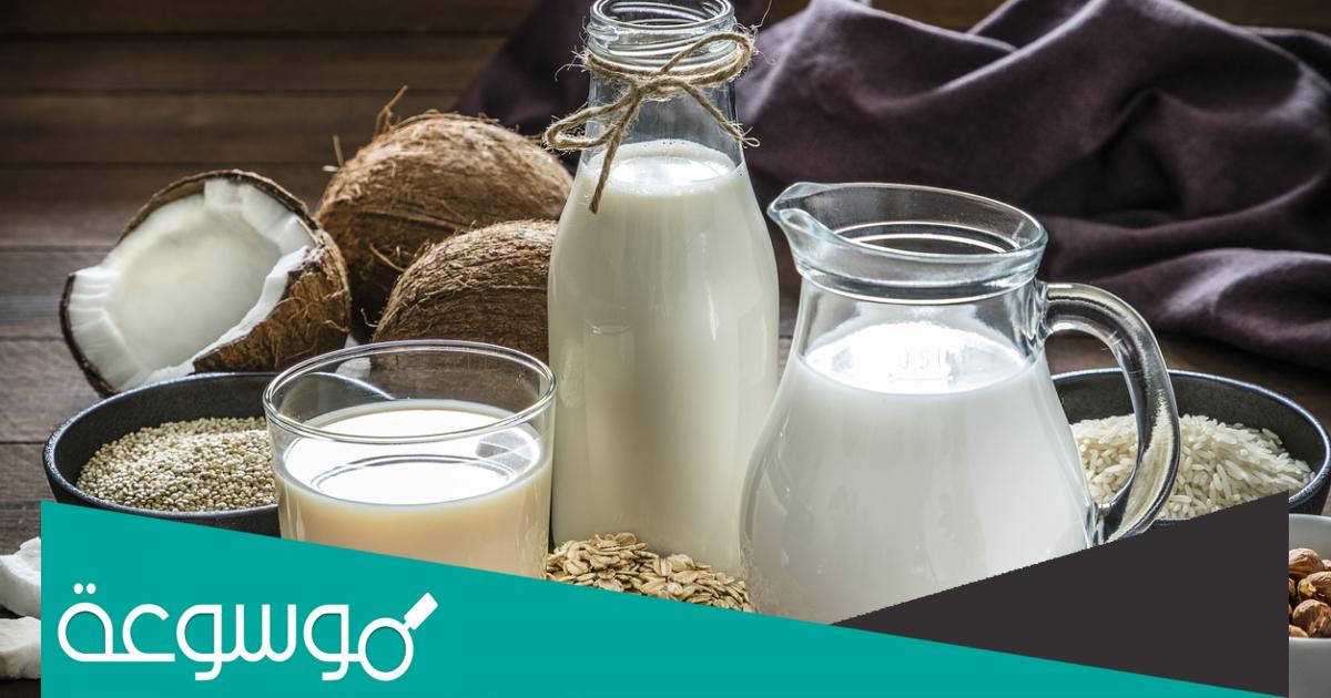 أنواع الحليب النباتي وأفضلها وأكثرها فائدة