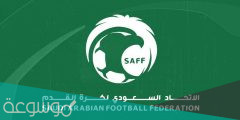 أهداف استراتيجية تطوير كرة القدم السعودية الجديدة
