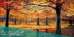اجمل كلمات عن الخريف معبرة 1443