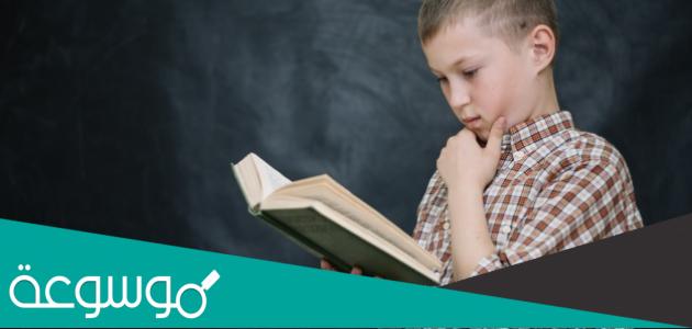 ادوات قارئ النص الادبي